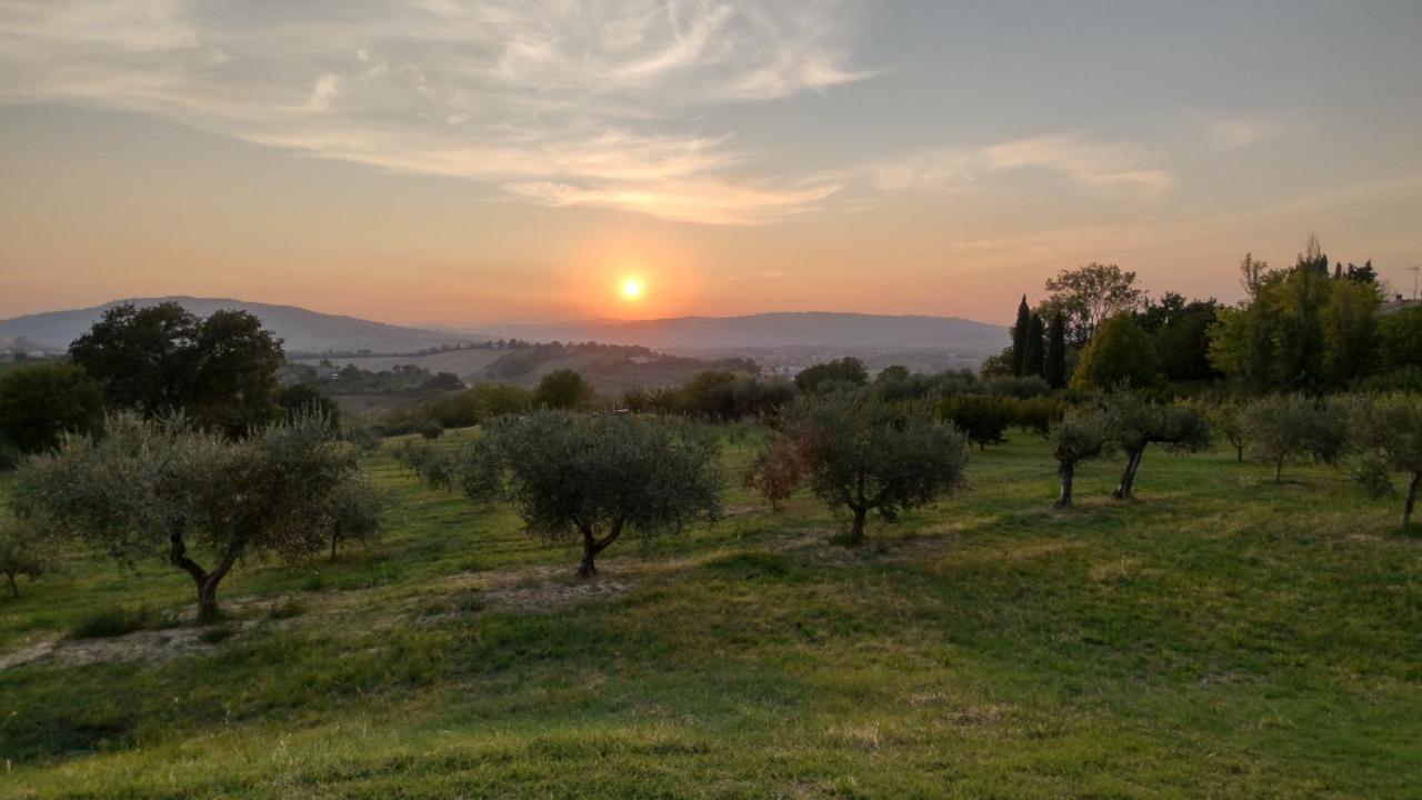 La Maggiolina Country House Montelabbate Bagian luar foto