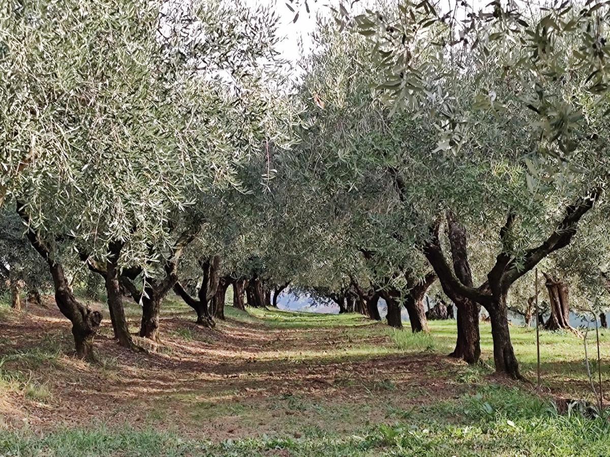 La Maggiolina Country House Montelabbate Bagian luar foto